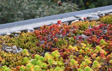 the cost of Pidley green roof installation