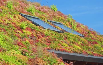Pidley living roof systems